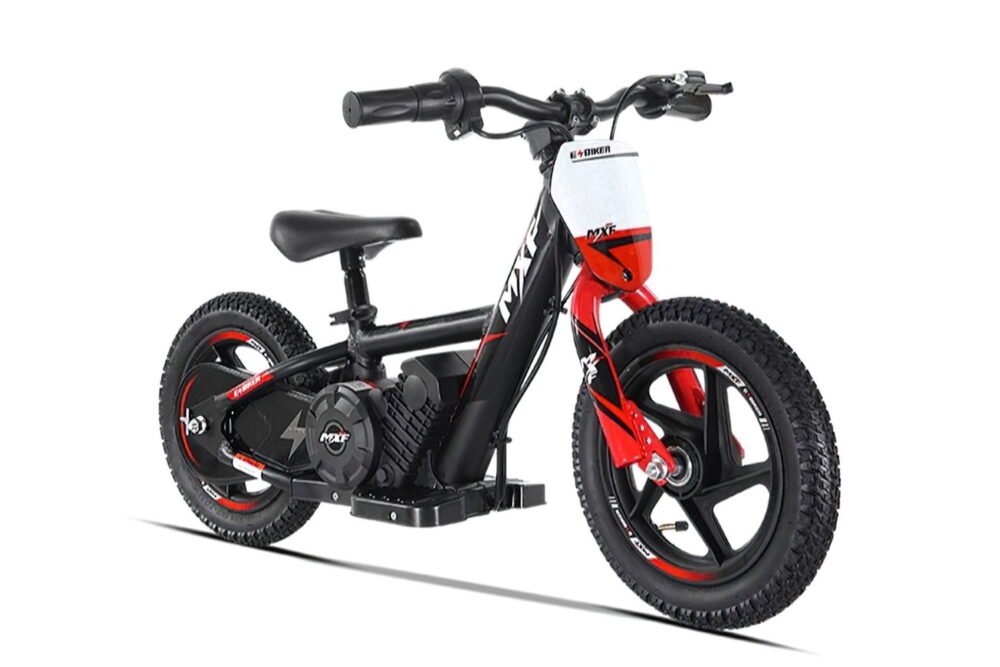 e-biker 12