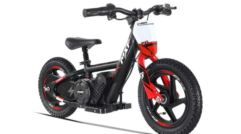 e-biker 12