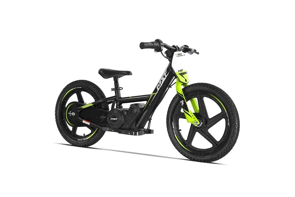 e-biker 16