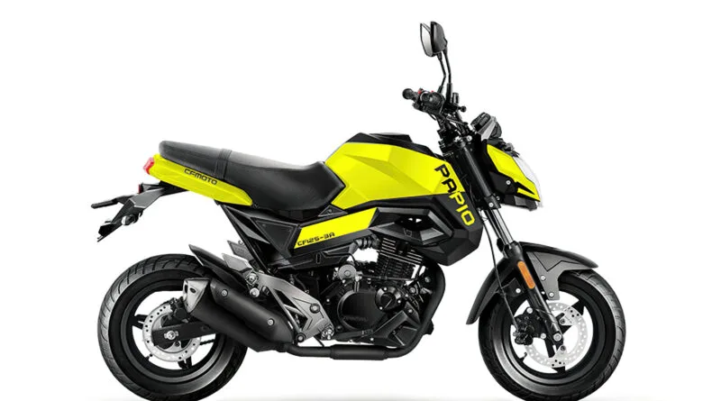 cfmoto st papio