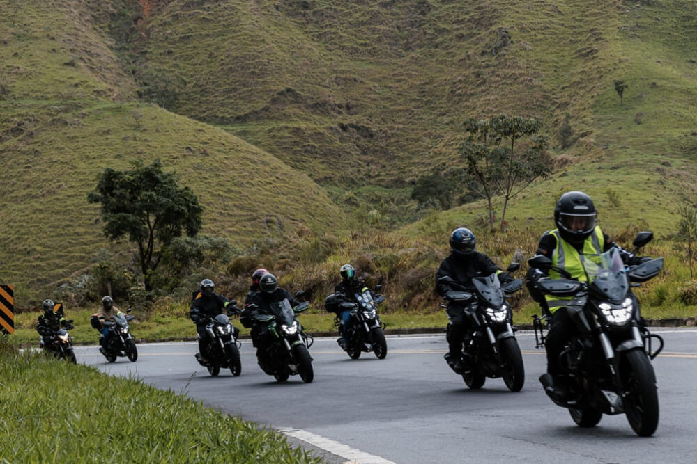 dominar rides