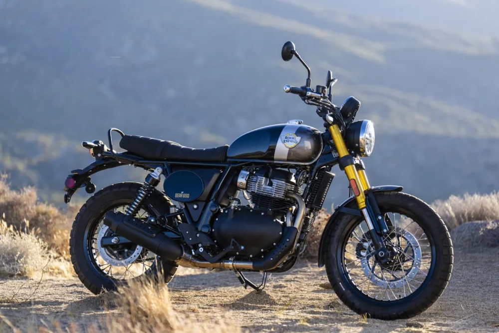 bear 650