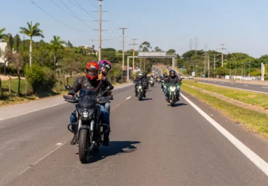 dominar rides